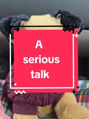 ⚠️⚠️Lets have a serious talk. Any and all negative comments will NOT be tolerated and WILL get deleted. Keep it nice and informative. ⚠️⚠️ #autistic #actuallyautistic #autismacceptance #autismplushie #stuffie #douglasdog #plushies #supportstuffie #stuffedanimalsoftiktok #essa #plushie #comfortplush #stuffiesoftiktok #essacommunity🤍🦮🐕‍🦺 #emotionalsupportstuffedanimal #supportplushie #essafyp 