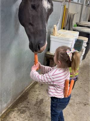 We washed apron so we had to make do with what we had #viral #horse #barnlifeisthebestlife #fyp #farmlife #blessed #horsesoftiktok #toddlersoftiktok #toddlermom #treats #quarterhorse #horsetok #horses 