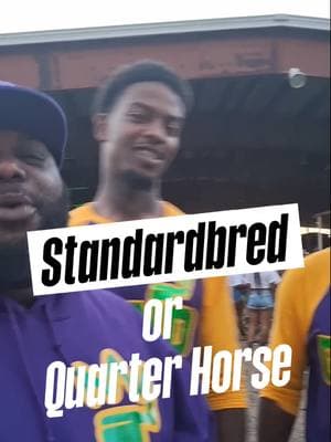 Standardbred or Quarter Horse 🤔 Gettin Down N Dirty - GDND Based out of Houston, TX but represent different areas of the South.  Follow them for more:  @gettindownndirty_riderz @imsostew  ##ridingclub #saddleclub #Trailride #texas#blackcowboy #cowgirls #youth #Cowboys #horses #thefuture #weoutside #fyp