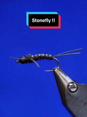 Rubber Legs Stonefly! Hook: Ahrex FW531 size 12  Thread: Magpie Materials 72D  Back and Wing Case: TheFlySmith Gator Back  Dubbing: Fulling Mill tactical dry fly  Rubbing: Sybia flat wire  Bead: Saluda Beads matte black  Resin: UV Craft  #TheFlySmith  #flytying #magpiematerials #magpieturkeybiots #magpiefinebeaverdubbing #whitingfarms #naturesspiritflytying #lidrig #fly #flytyingjunkie #flytyingtutorial #flytyingaddict #flytok #satisfying #flytyingnation #fyp #harelinedubbin  #fishing #flyfishing #pescamosca #Upavon #fullingmill #bespoke