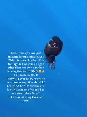 Oh I can’t quit crying! #brave #angler #fish #ocean #spain #amazing #sad #ocean #trending #fypage #fyp #fy #f #2025 #record #history #wildlife #news 