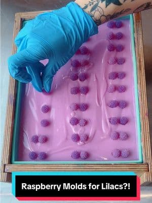 Raspberry Molds for LILAC SOAP!! 💜  #lilacsoap #lilacsoapbar #purplesoap #purplesoaps #soaplayers #soaplayering #soaplayeredtechnique #soapembeds #soapembed #soapembedmaking #soapembedmould #flowersoap #flowersoaps #floralsoap #floralsoaps #springsoap #springsoaps #springsoap2025 #springsoapcollection 