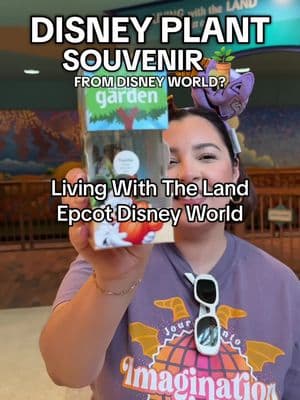 TAKE HOME A DISNEY PLANT FROM DISNEY WORLD? My favorite type of souvenir is something that you truly cannot find anywhere else. And being able to take home a plant that grows inside one of my favorite rides at Disney World, Living With The Land is a must! Mickey’s Mini Garden is a test tube grown from the regeneration of cells from a parent plant found in the Land Pavilion in Epcot. Share this with someone that needs to buy a disney plant ! #thingstodoinorlando #orlandofl #disneyworld #disneyparks #epcot #livingwiththeland #disneysouvenir #disneyeats 