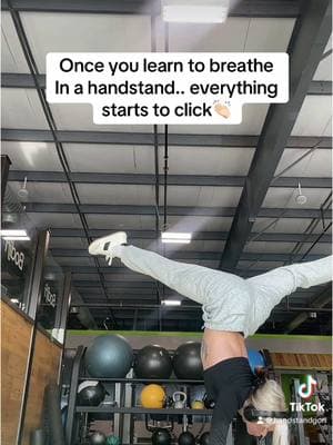 More handstand content? 👀  My top tips for beginner  handstand ⬇️  1. Walk your legs up the wall until chest is to the wall and then back down to plank. Repeat  2. Once chest is against wall point one foot and then the other only bracing with opposite foot. Repeat 3. Squeeze legs together!!  Stay consistent 5 - 30 min every day makes the difference 👏🏻  #handstandtips #handstandtutorial #handstand #handstands #calisthenics #girlgymtok #altgymtok #handstandgorl 