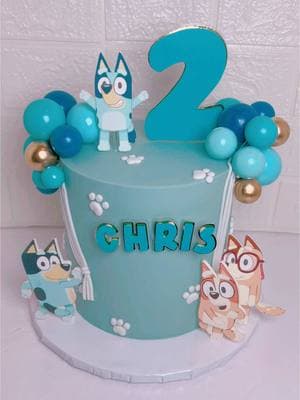 Bluey Theme Cake #bluey #blueythemecake #blueycake #queenofconfections #creatorsearchinsights 