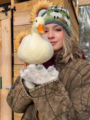 Here’s some of my favorite breeds if you’re looking to add some ducks to your flock this spring!! 🦆 #ducks #ducksoftiktok🦆 #homestead #homesteading #petduck #ducktok #backyardflock #duck 