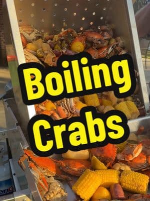 Everyone’s Favorite Boiled Crabs #crabs #fyp #seafood #seafoodboil #delicious  @lococookers @945Outdoors 