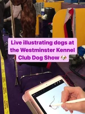 Draw me like one of your French dogs 🐩😂✨ watching the @Westminster Kennel Club dog show and remembering how much fun I had live drawing dogs for them! What breed are you rooting for? #wkc #bestinshow #dog #dogstagram #irishsetter #liveillustration #liveillustrator