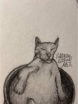 IK yall see that side eye peeking👀       Credit- spidey_random.m/IG       #fyp #art #sketch #drawing #cat #linkinpark #foryouuuuuuuuuuuuu 