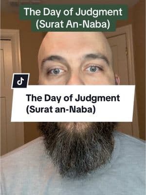 The Day of Judgment (Surat An-Naba) #islam #muslim #muslimtiktok #judgementday #tafsir #tafseer #quran #sorting 