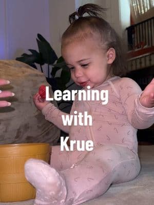 My little sponge 🥰 bits & pieces of our morning playtime #toddlermom #learning #kruehazel #momlife #sahm #blendedwiththewoods #growingwithkelsey #motherhood #16monthsold @Kelsey Pumel 