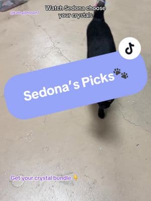 ✨ Sedona ONLY chooses crystals for the option “Sedona’s Picks” in the listing! Sedona, our shop kitty, just picked out the perfect crystal bundle for Kathy Johnson! 🐾 These crystals are believed to bring balance, and love. She even added a Selenite Coin with crystal etching for extra magical vibes! 💎💖 #ShopKittyPicks #CrystalBundle #HealingCrystals #SedonaTheShopKitty #HealingVibes #CrystalMagic