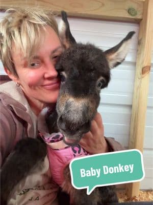 Her little mouth…🥺  #farmlife #babydonkey #viralanimals #cashthedonkey #donkeysanctuary 