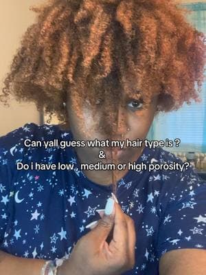 what type do yall have and how do you maintenance it ? #naturalhair #hairporosity #thickhair #hairgrowth #hairgoals #fyp 