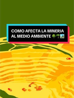 Edúcate, los únicos beneficiados será el gobierno en turno #elsalvador #mineria #noalamineria #ambiente #medioambiente #parati #TikTok @Teresita 💎 @Mago Del Futuro @NO A LA MINERIA @Don Roque503✅ Oficial ✅ @Telemundo 52 LA @Nayib Bukele @Diputada Alexia Rivas 