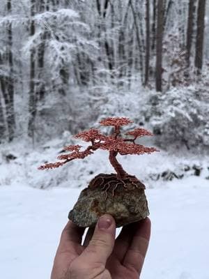 “Tender I” Copper wire on stone 5”x5”x4” Available This copper wire bonsai tree is growing from a piece of warm-toned granite I found while hiking in NH. These small bonsai tree sculptures are so fun to create, are affordable, and they add that little pop of nature and natural elements to any space! If you want to make a small wire tree of your own, there are still some spots available for my Wire Tree Art Class at the Gathering Place Studio in Somersworth, NH tomorrow night 6-8pm! Ticket link on my website! #wire #wiretree #wiretreeart #wirebonsai #wirebonsaitree #metalart #natureart #bonsai #bonsaitree