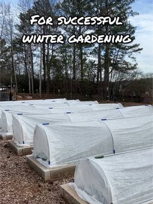 Understanding the Persephone Period: A Key Factor in Winter Gardening One of the most critical yet often overlooked aspects of winter gardening is the Persephone Period—the time when your garden receives fewer than 10 hours of daylight per day. The term was coined by Eliot Coleman, drawing from the Greek myth of Persephone, who spent part of each year in the underworld, symbolizing the dormancy of plant growth in winter. Why Persephone Period Matters Plants rely on photosynthesis to generate the energy required for growth. When daylight hours drop below 10 per day, light intensity and duration become insufficient to sustain active growth. While many cold-hardy crops can survive through winter, their ability to produce new leaves or increase in size is significantly reduced. How to Determine the Persephone Period in Your Region The timing of the Persephone Period varies by latitude. A simple way to determine when it occurs in your location is to check the U.S. Naval Observatory's daylight duration tables (http://aa.us.no.navy.mil/data/Dur_OneYear), which provide daily records of total daylight hours for any given year and location. For example, here in Atlanta, GA, the data shows that the Persephone Period starts on Dec 6 and ends on Jan 4. How to Garden Around the Persephone Period Since plant growth slows drastically during the Persephone Period, timing is the key to a productive winter garden. Crops should be nearly mature before the Persephone Period begins, allowing for continued harvest throughout winter. While row covers and cold frames can help maintain plant health, they cannot compensate for the lack of daylight-driven growth. By planning your plantings around the Persephone Period, you can maximize your winter harvest and maintain a productive garden year-round. #WinterGardening #PersephonePeriod #EliotColeman #SeasonExtension #GardeningScience #growyourownfood #homegrown #homestead  #wintergarden #lowtunnel #frostprotection #rowcovers #frostcloth #frostblanket #gardenhacks #gardentips #atlantagardener #georgiagardener #organicgardener #instagardener #gardensofinstagram #instagarden #farmlife #farmhacks