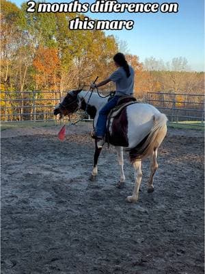 This mare came in with some very bad habits picked up undersaddle, from biting, kicking out and refusing to offer any forward movement undersaddle. It took a while to get her past that behavior and it wasn’t 100% but it sure was much better than before!! #horsetraining #horsetrainer #roundpen #paintmare #badbehavior #moodymare #problemsolving #kbhorsejourney #foryoupage #fyp 