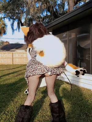 Let my fluffy tail hypnotize you ✨️ #bassdownlow #fluffy #fluffyfurry #tailwag #tailwags #furrytailwag #furryfyp #furrygirl #puppygirl #shibainu #shiba #shibainufursuit #leopardprint #leopardprintdress #fishnets #fakebody #twerk #furriesoftiktok #cutefurry #cutefursuit #petite #girlfurry #miniskirt #leopardprintskirt #kurondou #minipartialfursuit #partialfursuit #ilovefurries #ValentinesDay #tailswish #featherdustertail #featherduster #japanesefursuit #japanesedog #iloveshiba #fypシ #fypage #fakeeverything #fakebodyy⚠️ 