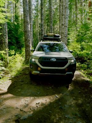 Forest flying with close proximity #Inspire3  Showcasing the new 2026 Subaru Forester Wilderness. In the thick of it in Oregon🌲🌲 #subaru #dji #drone #awd #overlanding #oregon #offroad #subaruoffroad