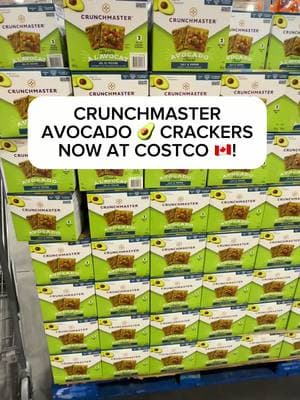 Crunchmaster Avovado🥑 Toast Crackers now at Costco Canada! @Crunchmaster Crackers  These are seriously so addicting! With the delicious salt & pepper flavour, you’ll be coming back for more. 😋  They're also: 👉🏼Certified Gluten-Free 👉🏼Made with Avocado Oil 👉🏼Non-GMO 👉🏼Free from Artificial Flavors These pair well with just about anything from cheese to dips and even use as toppings! 🥗  Grab a pack for just $13.99 at Costco! 🏃‍♂️   #crunchmaster  #Crunchmastercrackers #avotoast #avocadotoast #Costco #CostcoFindsCa #costcocanada #canada #CostcoBuys#costcodeals#costcowholesale#costcofindscanada 