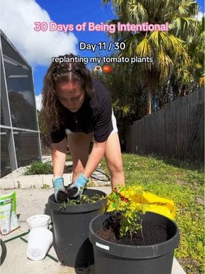 She’s back in her gardening era. 👩🏻‍🌾🪴 I started gardening a few years ago and have grown to love for the work it takes to watch my plants produce amazing vegetables for my family.  I might do a beginner gardening series coming up! I had zero clue what I was doing when I started and I think it’s so much easier for a beginner gardener to get a small garden going than people think!  #zone10 #zone10gardening #zone10garden #zone10gardening #vegetablegarden #vegetablegardening #containergardening #containergardener #raisedbedgarden #raisedbedgardens #momsover30 #slowliving #slowlivinglifestyle #homestead #homesteading #momof2 #boymom #boymomlife #plantingseeds #garden #gardening #gardeningtips #gardeningtiktok 