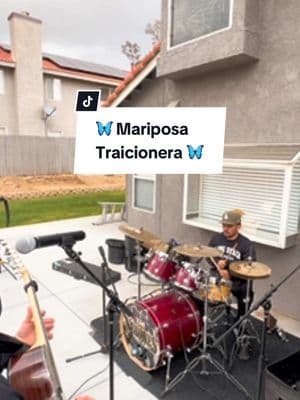 🦋Mariposa Traicionera🦋 algo de @Maná al estilo y manera de sus amigos #losvaronesdecalifornia #LOSVARONES #varonesdecalifornia #lavaroniza #canciones #mariposatraicionera #norteña #rancherita