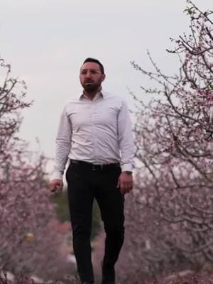 Watch a beautiful Tu B'shvat song 'Ilon Ilon' by Avi Lerner 🎤 🎤 🎤 #nicesong #beautifulmusic #dailymusic #musicupdates #tubeshvat #tubshvat #trees #songclip #טובשבט 