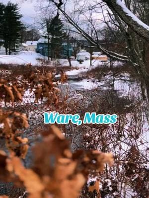 Ware, Mass #ware #wareMassachusetts #GetOutside #WinterActivity #Winter #Hiking #Dog #Dog 