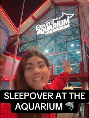 SLEEPOVER IN THE SHARK TUNNEL!🦈 This is in Gatlinburg, TN and it’s a 21+ event!🐠 @Ripley’s Aquariums 🐢 #vlogday#vlogdayburgtennessee #gatlinburg #dayinmylife #sleepover #sharks  #tennessee #dailyvlogs #dayinmylife 