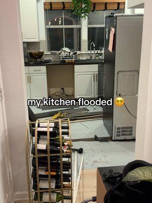 so not only did I have to spend $1000 on a new dishwasher, now I have to replace all of my floors in my kitchen, entryway and possibly living room…nice…pls help me @Floor & Decor 🥲 our vinyl planks are discontinued 😪 #homeowner #homeownerproblems #houseflood #homerenovation #homeimprovement 