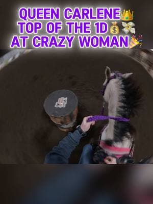 1D 1st Sidepot/1D 2nd Open🔥featuring @Danae Hemsley♣️ hilarious commentary😂💜 #Carlene #QueenCarlene #CarlenetheWonderPony #LittleSmartie #bossmare #gopro  #goprohero11 #goproequestrian #barrelracingpov #teammastersaddles #rodeo #rodeoroad #rodeoseason #rodeoseason2025 #bullsbandsandbarrels #california #barrelbetty #barrelracerland #barrelracingtok #rodeotok #horsetok #queenqh #queenquarterhorses #barrelhorse #barrelracing #aqha #nbha #ibra #ipra #wpra #wrca #prca #teamCEP #gottalittlemohair #gottalittlemohairdesigns #impactgel #impactgelsaddlepads #bocabrand #meyerdavisfarms #myclassifiedads #mcarusselljohns #mastersaddles #lacyboots #performancestallmats #cavalor #sundialshowclothing #nutrenafeed #platinumperformance #Igbt #Igbtequestrian #fyp #foryou #foryoupage #CapCut 