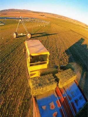 3 different angles 👌🏼 #2k #premiumhaywith2k #royalcity #fyp #washington #letsgo #harrowbed #3tie #alfalfa #onthisday #newholland 