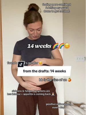 From the drafts 🥹 #firsttrimester #doublerainbowbaby #14weekspregnant #pregnancyafterloss #pregnancyjourney #bumpdate #pregnancyaftermiscarriage 