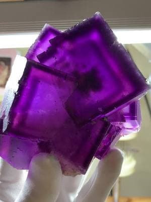 Denton Mine, Illinois is known around the world for producing some of the finest Fluorite crystals! This one is no exception! Bright color, large cubes, and wonderful transparency, put this in the top 5% of Illinois Fluorite! ** IN A PRIVATE COLLECTION **  . . . #fyp #myfyp #nectargems #crystaltok #crystalshop #crystalcollection #crystalcollector #rarecrystals #crystals #fineminerals #finemineral #mineralcollection #mineralcollector #mineralspecimen #mineralspecimens #fluorite #purplefluorite #illinoisfluorite #dentonmine #purplecrystal 