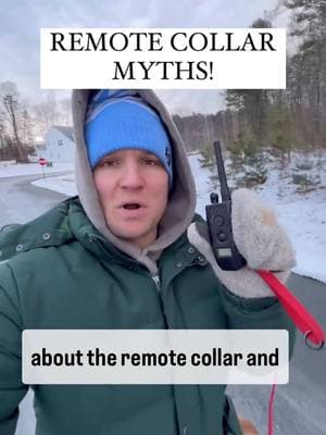 The remote collar is a lot like a hammer. You can use it appropriately and build a solid house OR you can hurt someone with it. #remotecollar #ecollar #dogowner#dogtrainer #DogTraining