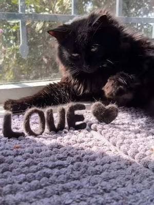 L O V E in cat hair - - #crafting #craftingwithcathair #cathaircrafts #Love #cathair 