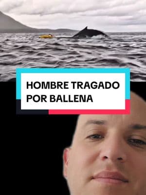 hombre tragado por ballena #greenscreenvideo  #carlosampuero0689  #ballena  #noticias 