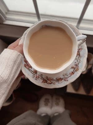 perfect. 🫖 #cottagecore #snowday #pinterest #teatime #teapot #teacup #cosycore #beatrixpotter #snowy #cozyathome #cozyweather #winter #browncat #bramblyhedge 