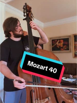 Mozart creates magic, not music . #doublebass #doublebasstok #doublebassists #doublebassplayer #classicalbass #classicalbassriff #bassriff #orchestralexcerpts #basslinejunkie #mozart #classicalbassplayer 