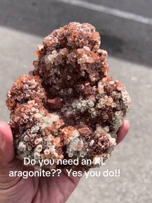 Add to cart!  XL aragonite crystal #aragonite #crystalshop #shopsmall #fyp #witchy #trending #TikTokShop #tiktok 