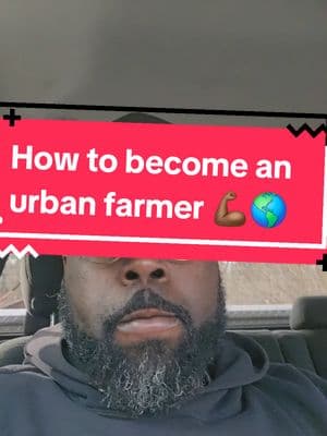 Share this with a grower that you know!!! Free info tomorrow during food system friday LIVE on tiktok! Answering all questions pertaining to farm tract application specifically URBAN FARMS! #wearethechange  #CollectivelySustainable  #intentionalcommunity #growersbakersmakers   #farmfresh247app  #SealsFamilyFarm #homesteadlife #sustainabilitymatters #selfsustainabilityondarise #hyperlocalfoodsystem #backyardgrowers #gardenersoftiktok #atlantagrowers #Atlanta #clayco #soufside #Riverdale #ReturnOfTheSteward 