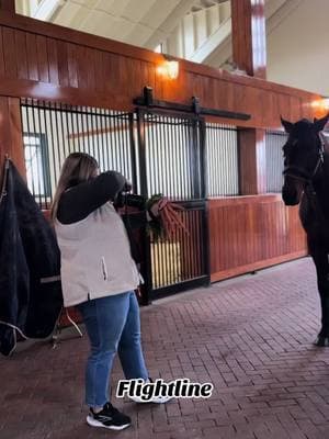 #carrerasdecaballos❤️😍🐎🥇🏆🎖 #ruidosodownsracestrack🏇❤🏇❤🏇🏇🏇🏇 #cuadracantereros⚫️⚪️ #lanesendfarm #cuartosdemilla #usa🇺🇸 #cuadracristorey🔰🏆 #caballoscuartodemilla🐴 #cuadrasierrabrava🏇🇲🇽💥 