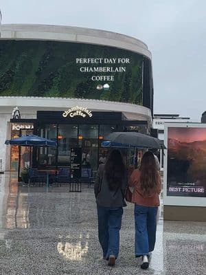 the perfect day for some Chamberlain Coffee !!! 💌🦎☕️✨ #chamberlaincoffee #chamberlaincoffeereview #coffee #lacoffeeshops #coffeeshops #losangles #thingstodoinla #coffeedate #coffeedates #rainyday #rainy #friendship #christianfriends #emmachamberlain #emmachamberlaincoffee 