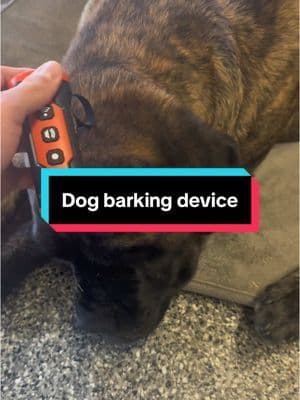 Must have if you have dogs inside your apartment or just for training #dog #dogsoftiktok #dogsofttiktok #dogs #dogbarking #DogTraining #puppytiktok #puppy #puppies #CapCut 