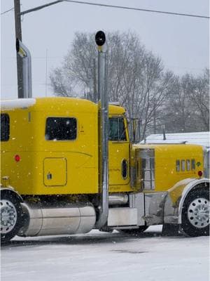 #tweety #yellow #peterbilt #uhtrucks #unitedmetalsrecycling 