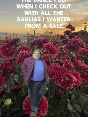 You know you’ve done this dance 💃💃 #gardeningtips #dahlias #dahlia 