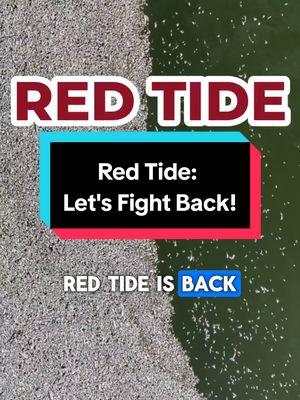 #redtide #florida #lakeokeechobee 