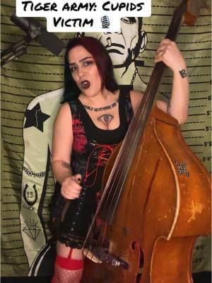 Just in time for Valentine’s Day- some Tiger Army on bass and vocals. Who will be Cupids Victim today?? 💞  #cover #song #music #uprightbass #bass #vocals #tigerarmy #cupid #victim #valentines #valentineday #psychobilly #rockabilly #punk #rock #blues #retro #jazz #orchestra #metal #goth #latina #musician 