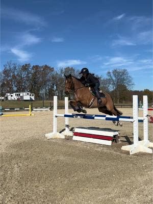 Doing all the fun things with my best boy. I can't wait for show season 🙊 #pony #ponyrider #ponyriderforlife #greenpony #youngpony #ponyjumper #eventpony #jumpingpony #horse #horsesoftiktok #horsegirl #horseriding #horselover #horsetok #horses #equestrian #equestrianlife #equestriangirl #equestrianvibes #equestriantiktok #equine #equinelife #horseshow #horseshowlife #horseshowseason #horseshowing #horseshowfun #eventing #eventinglife #eventingrider #horsehumor #jumpinghorse #trottinghorse #XCPony #XCHorse #eventinghorse #eventingpony #shiteventers #shiteventersunite  